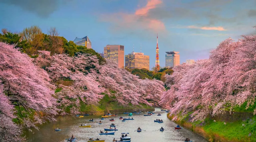 دیدنی های ژاپن